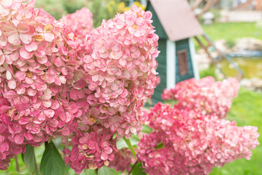 Similar image 22279931