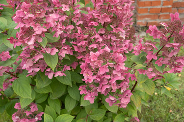 Similar image 22279932