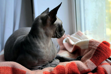 Similar image 22268712