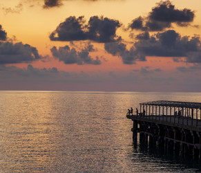 Similar image 22275189