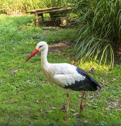 Similar image 22275192