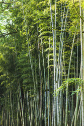 Similar image 22275193