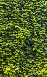 Similar image 22275194