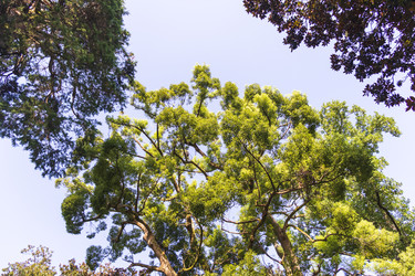 Similar image 22275195