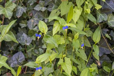 Similar image 22275198