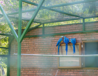 Similar image 22275200