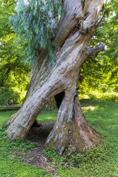 Similar image 22275201