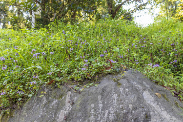 Similar image 22275202