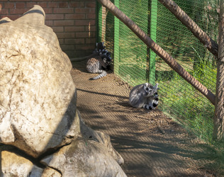 Similar image 22275203