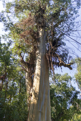 Similar image 22275204