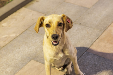 Similar image 22275208