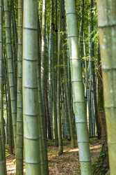 Similar image 22275212