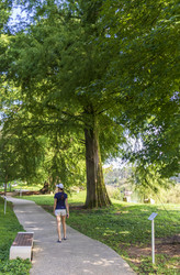 Similar image 22275214