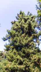 Similar image 22275215