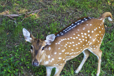 Similar image 22275217