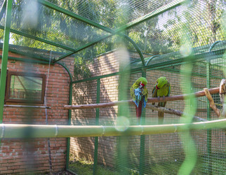 Similar image 22275218