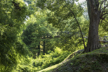 Similar image 22275220