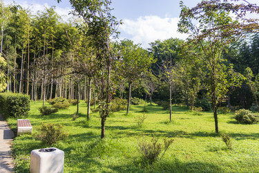 Similar image 22275221