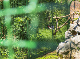 Similar image 22275222