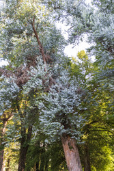 Similar image 22275223