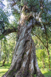 Similar image 22275225