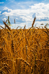 Similar image 22268713