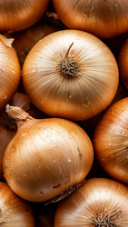 Similar image 22282135