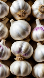 Similar image 22282272