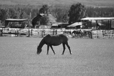 Similar image 22273097