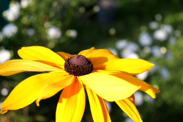 Similar image 22269048