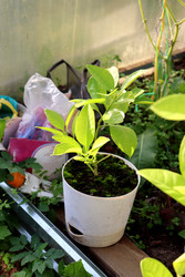 Similar image 22281297