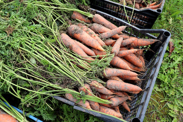 Similar image 22269049