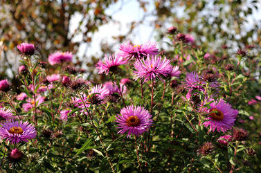 Similar image 22281298