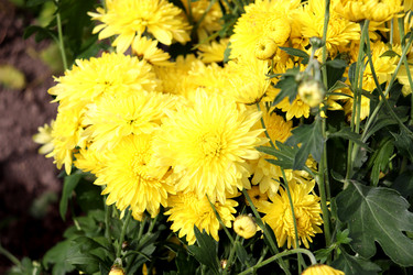 Similar image 22281300