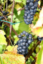 Similar image 22281302