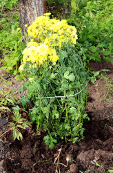 Similar image 22281303