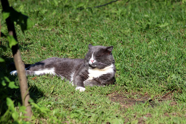 Similar image 22281304