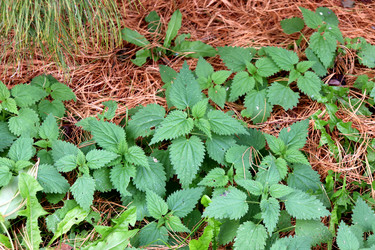 Similar image 22281305