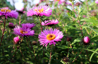 Similar image 22281306