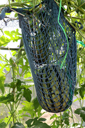 Similar image 22281307