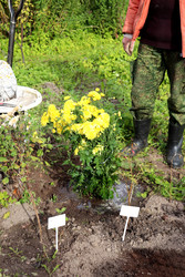 Similar image 22269051