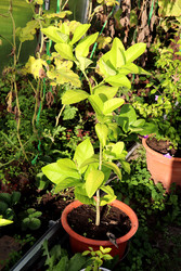 Similar image 22269052