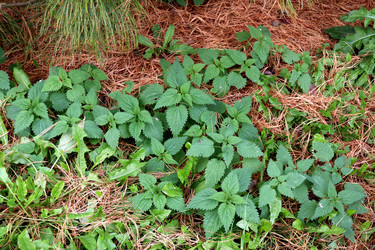 Similar image 22269053