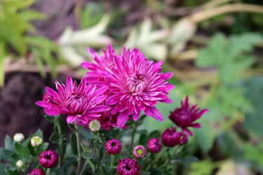 Similar image 22269055