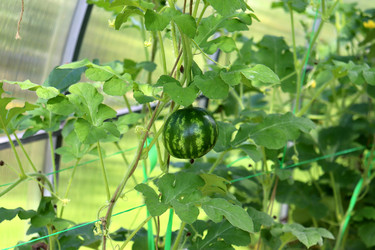 Similar image 22273883