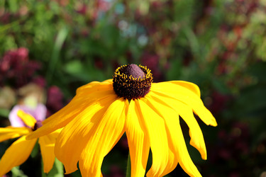 Similar image 22273884