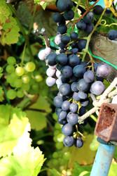 Similar image 22273885