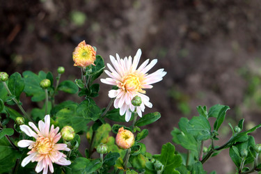 Similar image 22273886