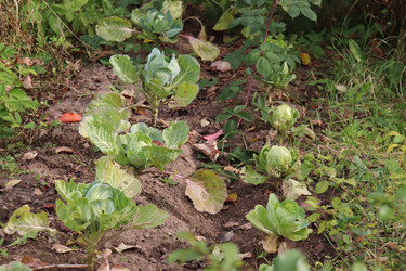 Similar image 22273887