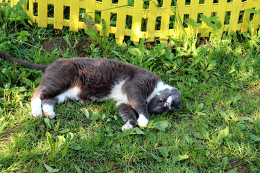 Similar image 22273888